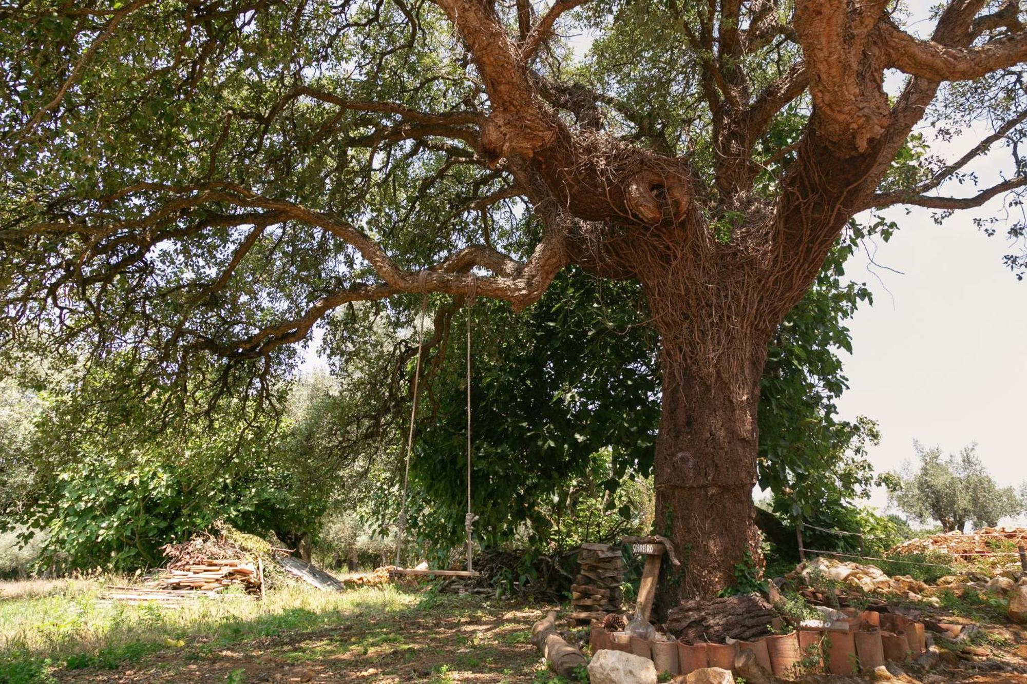 Patio Serrano Rio Maior Dış mekan fotoğraf