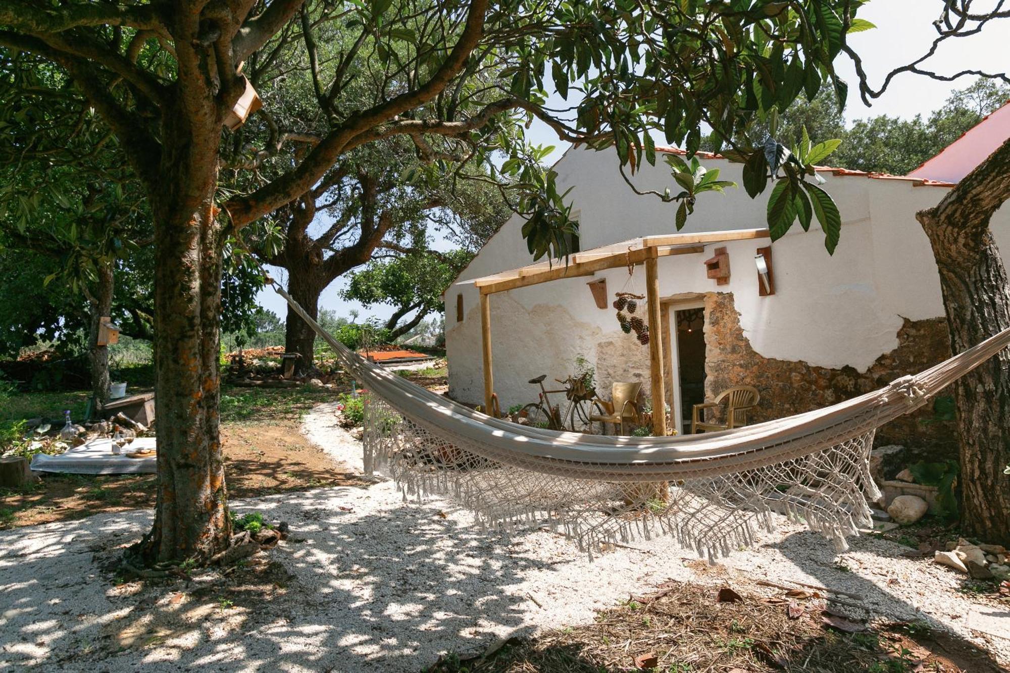 Patio Serrano Rio Maior Dış mekan fotoğraf